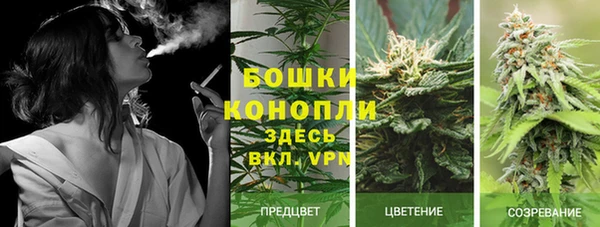 стафф Нефтегорск